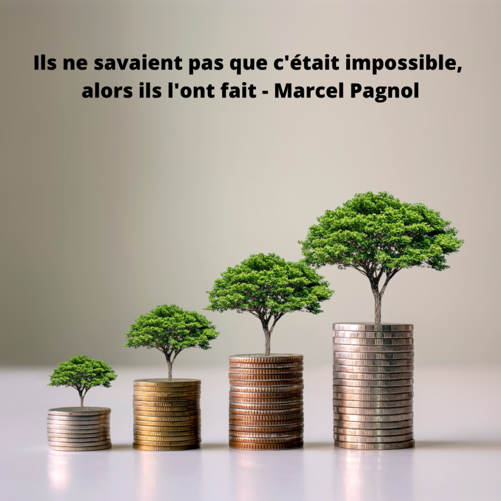 croissance arbre argent